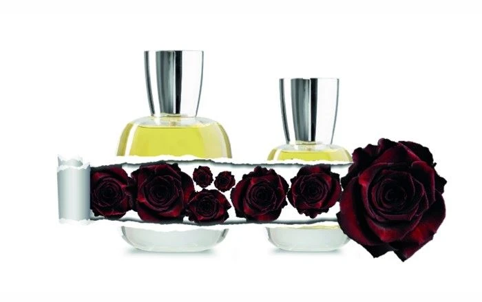 cosmetics glass packaging cosmetics glass packaging